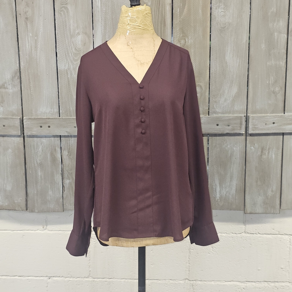 Women’s Size Medium EXPRESS‎ Burgundy Blouse Sheer Long Sleeve